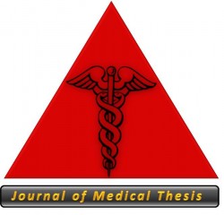 Page Header Logo